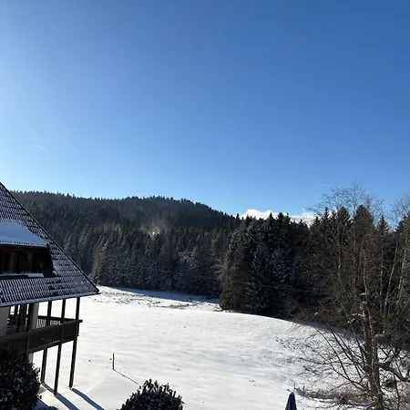 Alva Hinterzarten